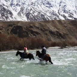 The Pamirs on a horse’s back
