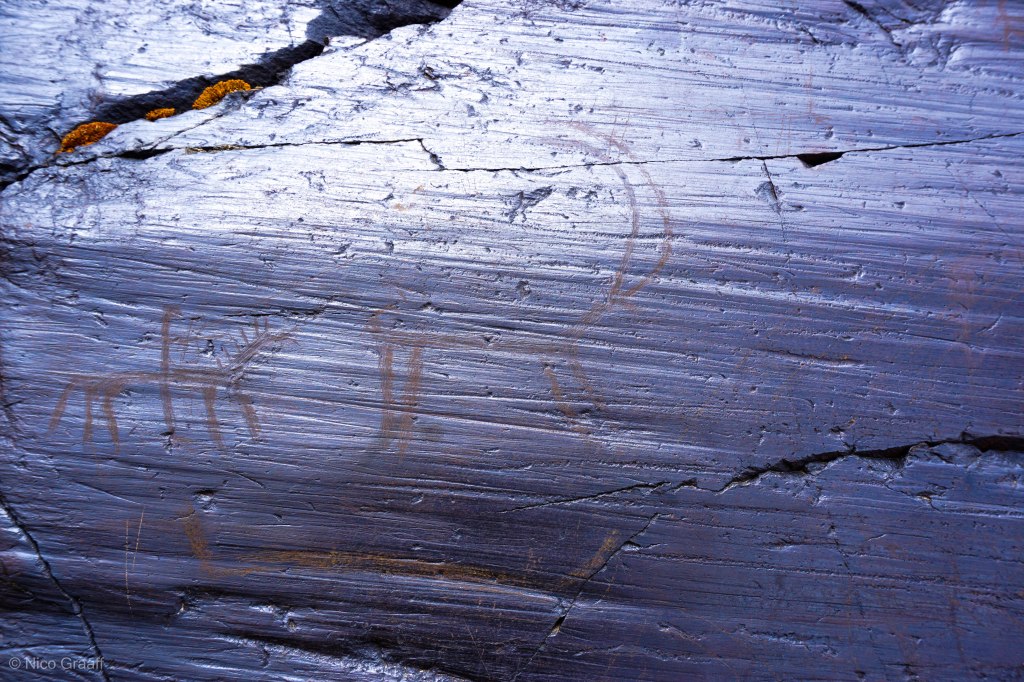Petroglyphs in Barzardara